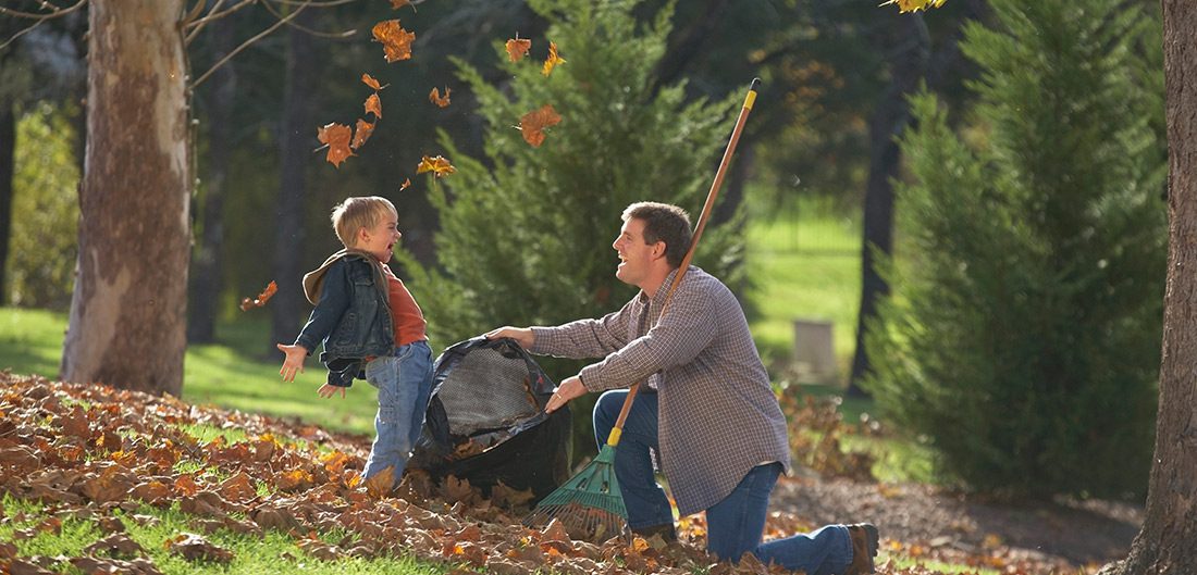 Man bagging leaves with child