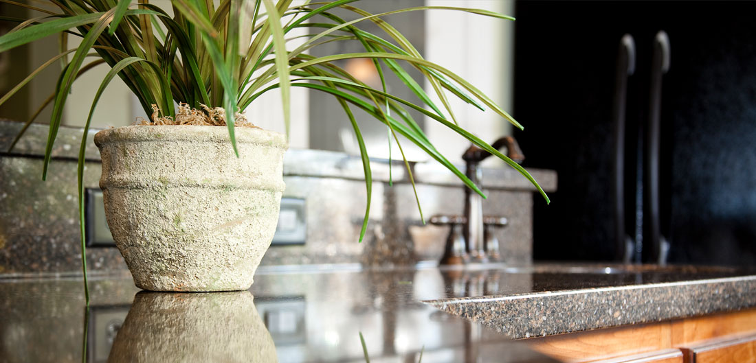 houseplant sits on polished granite kitchen countertop