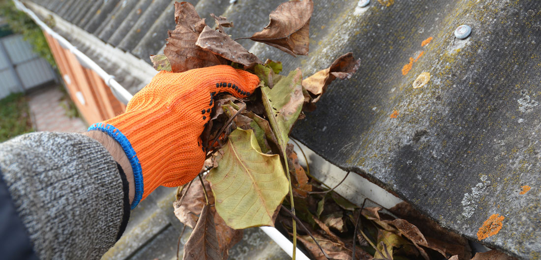 pulling leaves from a gutter